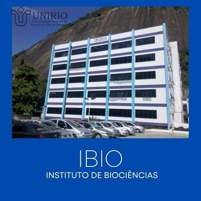 IBIO Foto